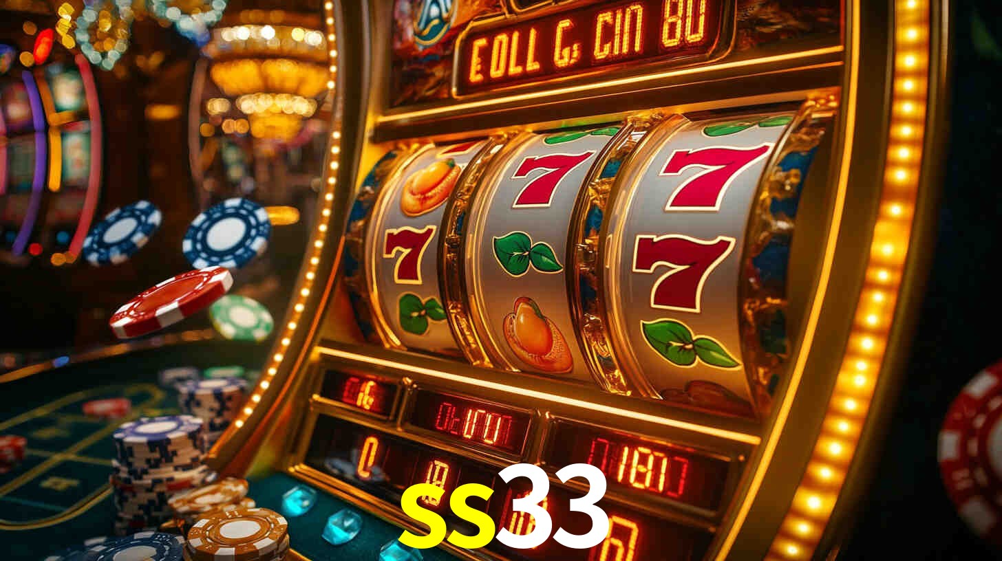 ss33 App Interface