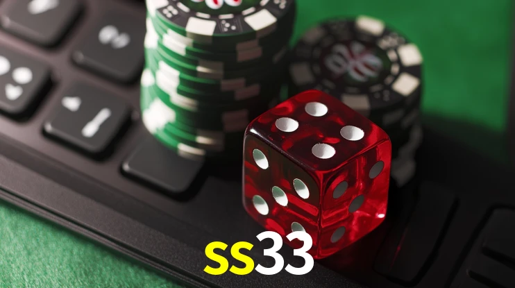 Secure Login ss33