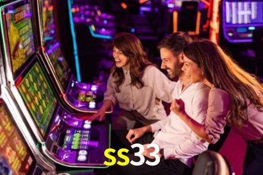 Interface Premium ss33